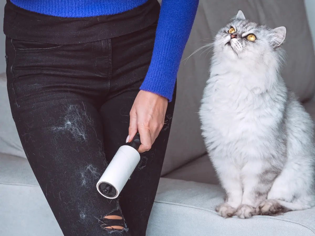 🧹 Rodillo Quitapelusa Reutilizable Lavable